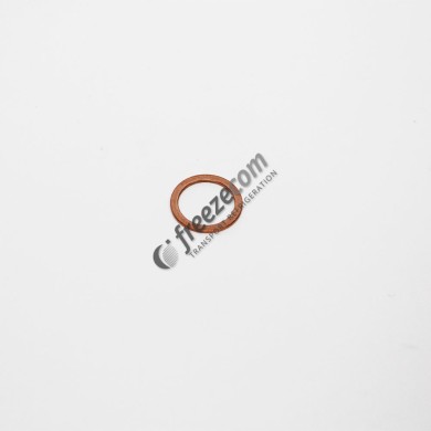 Ροδέλα μπεκ 331733 Thermo King KΙΝΗΤΗΡΕΣ DIESEL – ΠΑΡΕΛΚΟΜΕΝΑ 