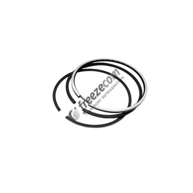 Ελατήρια εμβόλου 4.82 STD 119038 Thermo King KΙΝΗΤΗΡΕΣ DIESEL – ΠΑΡΕΛΚΟΜΕΝΑ 